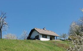 Apartma Pusa