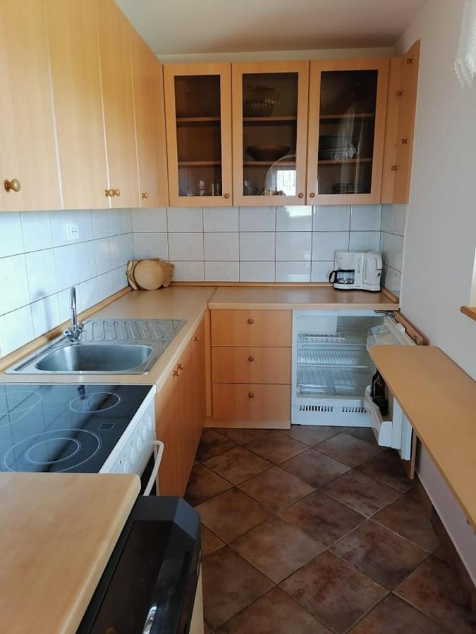 Apartma Pusa Pesnica pri Mariboru Zewnętrze zdjęcie