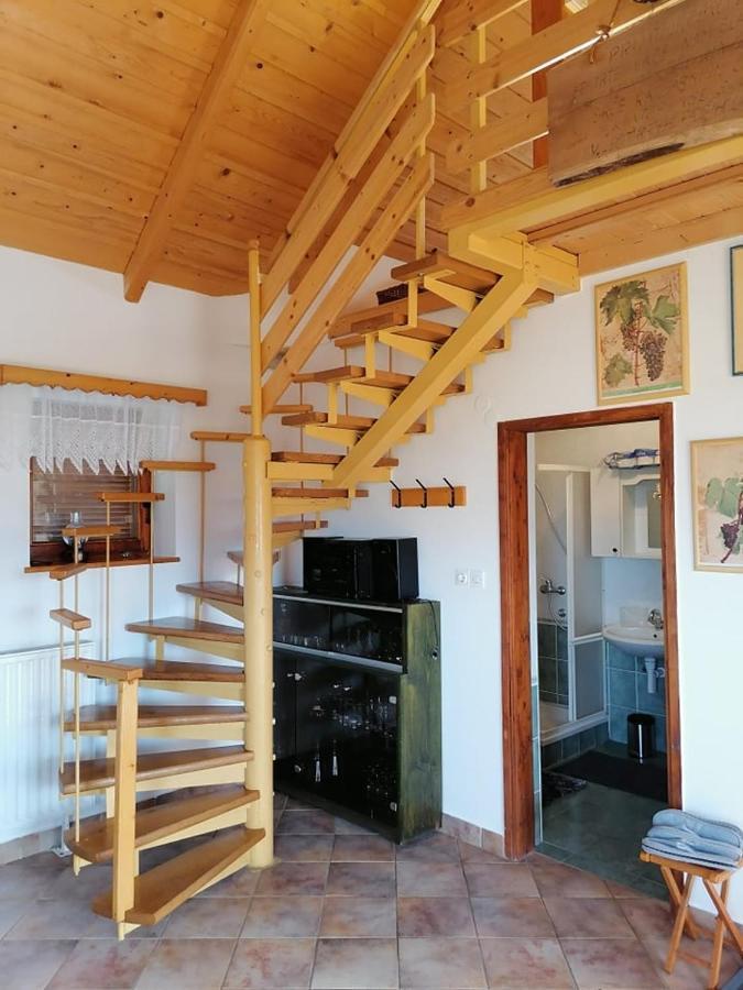 Apartma Pusa Pesnica pri Mariboru Zewnętrze zdjęcie