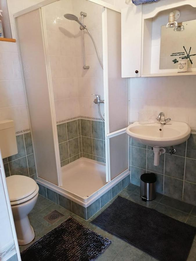 Apartma Pusa Pesnica pri Mariboru Zewnętrze zdjęcie