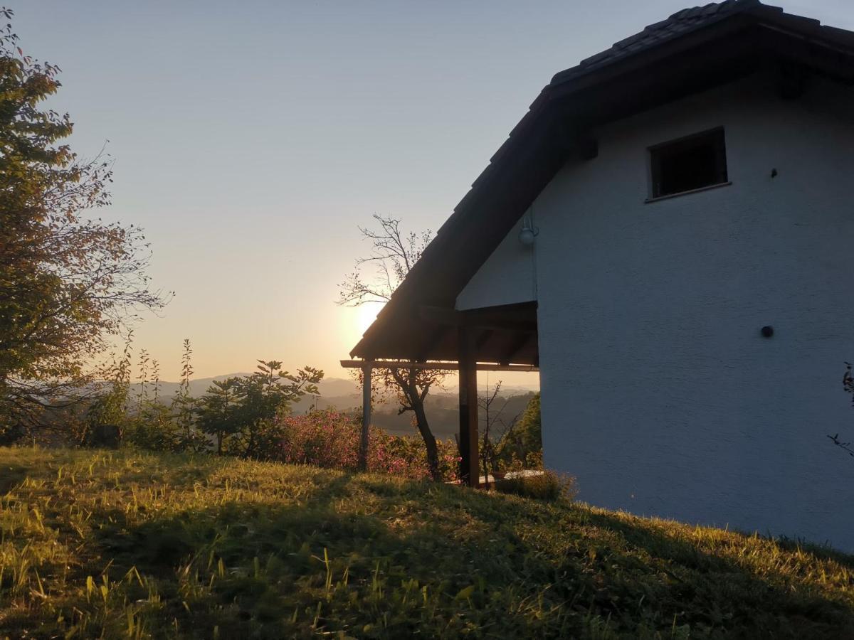 Apartma Pusa Pesnica pri Mariboru Zewnętrze zdjęcie
