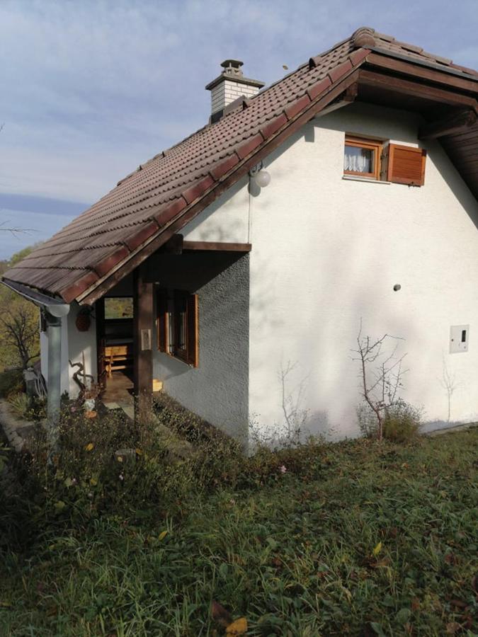 Apartma Pusa Pesnica pri Mariboru Zewnętrze zdjęcie